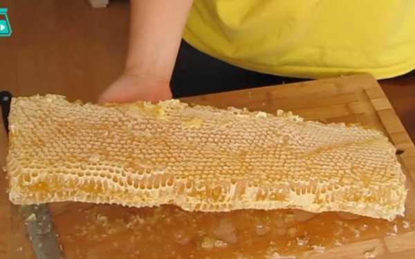 蜜蜂窝里的蜂蜜怎样弄出来