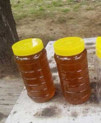 中国什么省份产蜂蜜