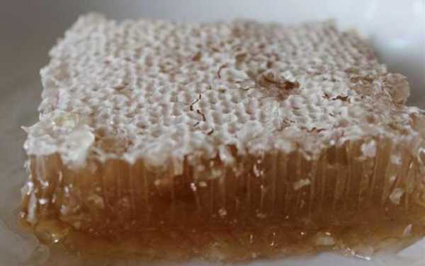  蜂巢蜜每天吃多少好「蜂巢蜜一天当中什么时候吃好」