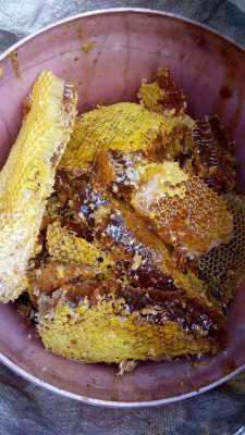 原生态蜂蜜一天吃多少