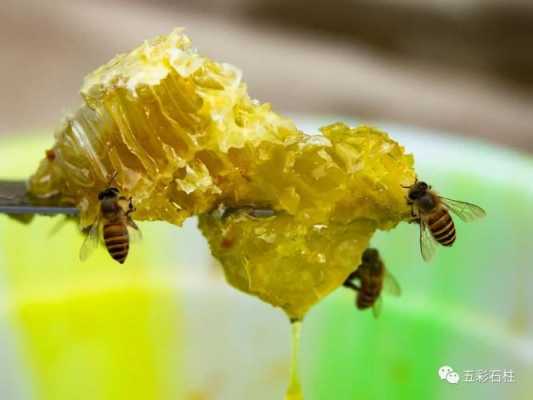 蜜蜂吃完了蜂蜜会走吗-蜜蜂吃了发酵的蜂蜜会怎么样