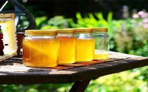 野蜂蜜多少钱一斤
