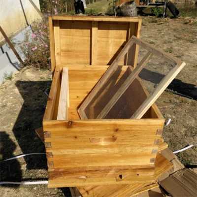 养蜜蜂蜂箱的尺寸是多少呢-养蜜蜂蜂箱的尺寸是多少