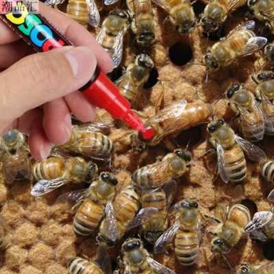 怎么让蜜蜂自己育王,如何让蜜蜂繁殖 