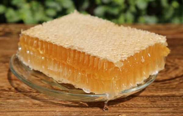 野蜂蜜固体蜂蜜怎么食用（野蜂蜜有固态的吗）