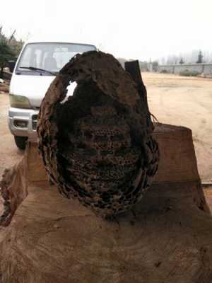 自制捉地下蜂网多少钱一吨-自制捉地下蜂网多少钱