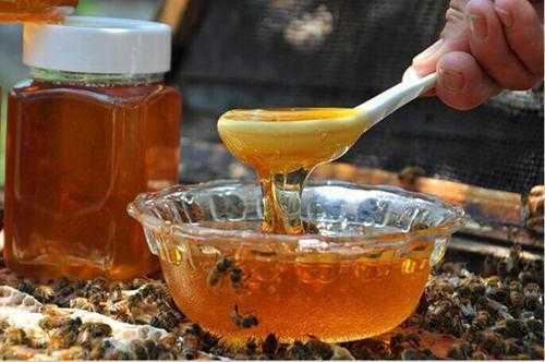  野蜂蜜市场上多少钱一斤「野蜂蜜卖多少钱一斤」