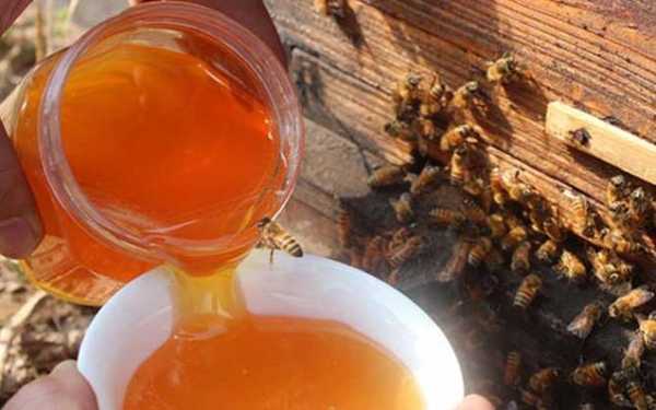  野蜂蜜用什么做的「野蜂蜜怎样吃效果最好」