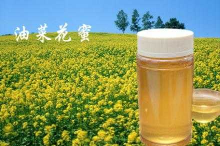 一亩油菜能产多少蜂蜜-一亩油菜花能采多少蜂蜜