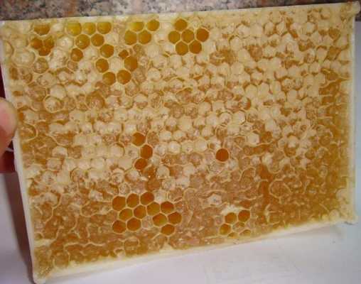  真的蜂蜜巢是什么样的「蜂蜜巢是什么材料」