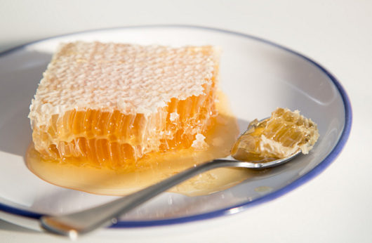 蜂巢的蜂蜜可以直接吃吗