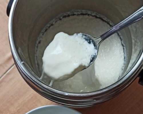 做酸奶加蜂蜜是否能发酵成功 酸奶做好怎么加蜂蜜
