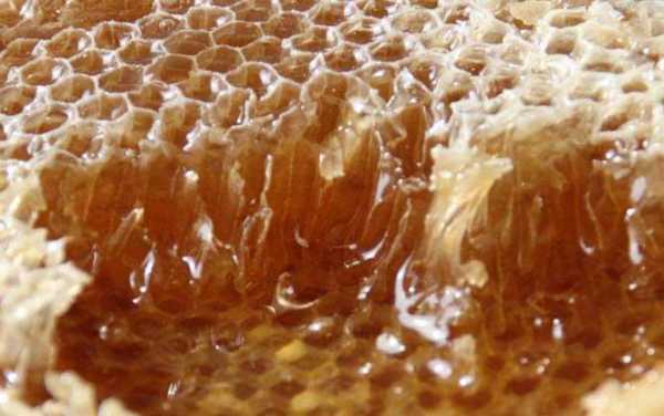 蜂巢为什么要产蜂蜜（蜂巢为什么那么规则）
