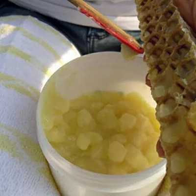  一箱蜂产多少蜂王浆「一箱蜜蜂一年产多少蜜和蜂王浆」