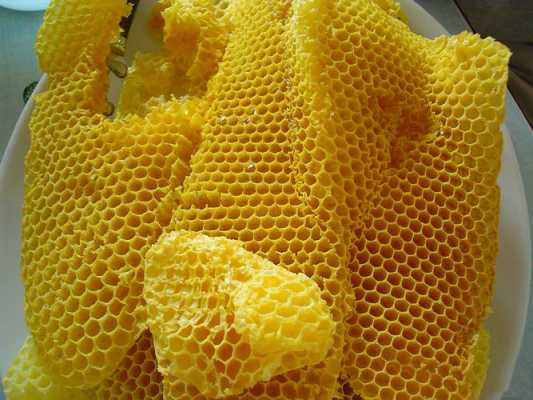 蜂蜡融化的温度是多少 蜂蜡的熔解温度是多少