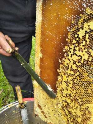 养蜂农蜂蜜价格