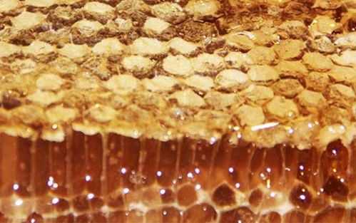 蜂蜜里面有蜂巢还有蜜蜂是真的吗