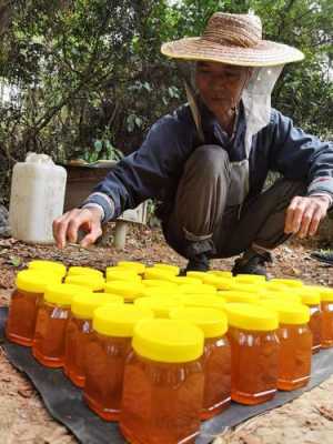 广西出名的蜂蜜-广西蜂蜜是属于什么蜜