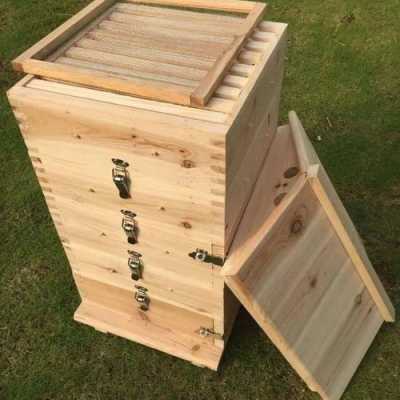 蜜蜂箱子多少钱一斤