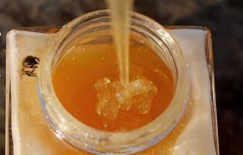 泡蜂蜜水放多少蜂蜜_泡蜂蜜水要多少蜂蜜