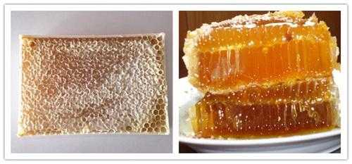 蜜罐和蜂巢有什么区别,蜂蜜和蜜巢有区别吗 