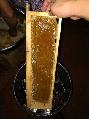 蜂蜜熬制的比例是多少,蜂蜜熬制的比例是多少合适 