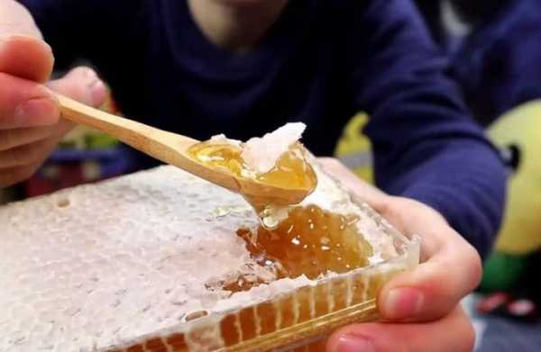 蜂蜡可以直接吃吗怎么溶解