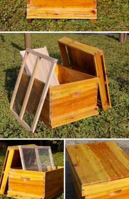 一个蜜蜂箱需要多少平方_一个蜜蜂箱需要多少平方米的
