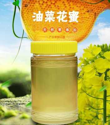 哪里油菜蜜多少钱一斤_油菜蜂蜜价格