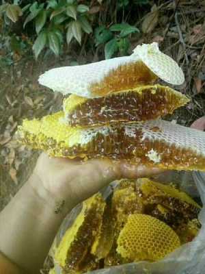 中国野生蜂蜜最好产地-野生蜂蜜市场有多少