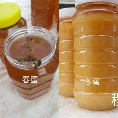  中国有多少种蜂「中国有多少种蜂蜜」