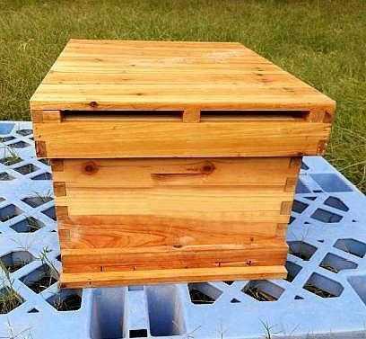 蜜蜂箱注意什么问题,蜜蜂箱应该放的位置 