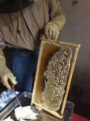 蜂脾怎么取蜜 蜂脾上的残蜜怎么清理