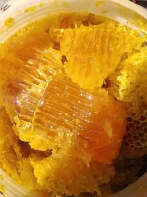 野生岩蜂糖有什么药效（野生岩蜂蜜真假图片）