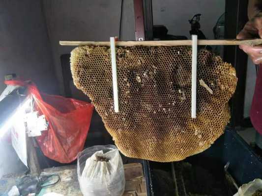蜜蜂巢脾多少钱一斤 蜜蜂巢脾多少钱