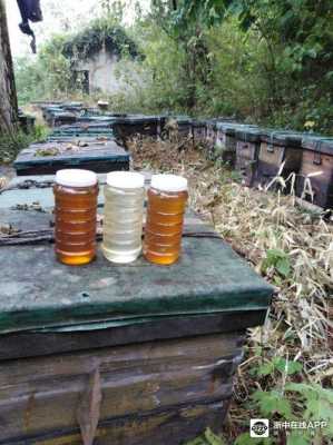 一箱蜂蜜的产量-一箱蜂蜜大概产多少蜂蜜