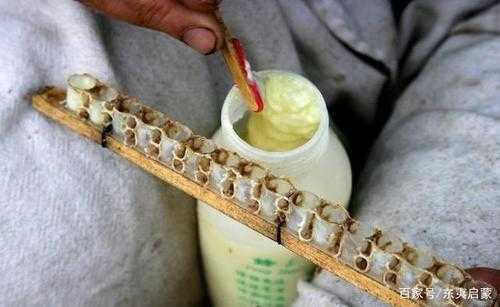 蜂王浆中国每年产量是多少（蜂王浆产量高么）