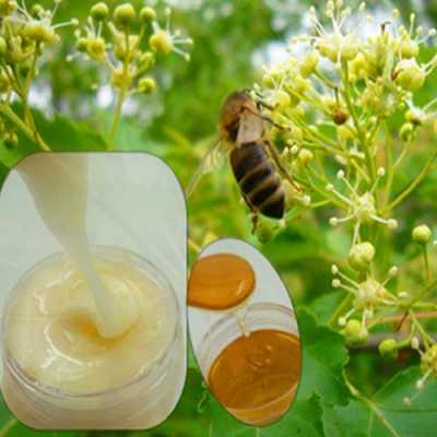椴树蜜和什么能做面膜,椴树蜜敷脸的功效 