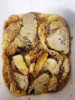 蜂巢蜜里面的蜂巢是什么东西-蜂巢蜜里面的粉状物是什么