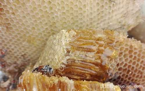 蜂巢蜜上面的白蜡能吃吗 蜂巢蜜的白蜡是什么