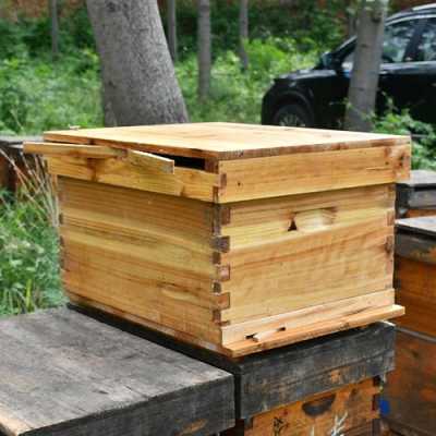 蜂蜜蜂箱子制作视频 蜂蜜箱子怎么做的图解