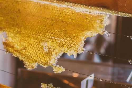5只蜂蜜有多少蜂毒啊-5只蜂蜜有多少蜂毒