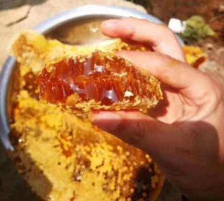 桦树蜂蜜怎么吃法