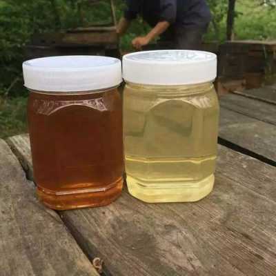 北方蜂蜜为什么便宜-北方最早的蜂蜜是什么品种