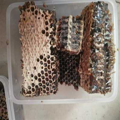 蜂巢保存方法和运输方法-蜂巢存放怎么存