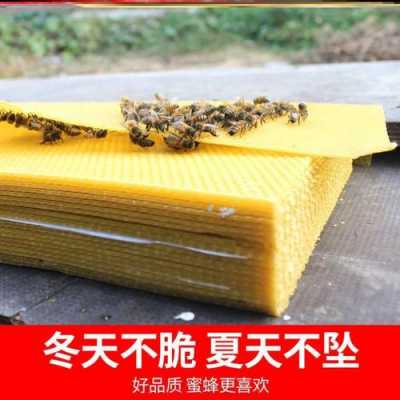  蜜蜂巢皮怎么使用「蜂巢皮的图片」