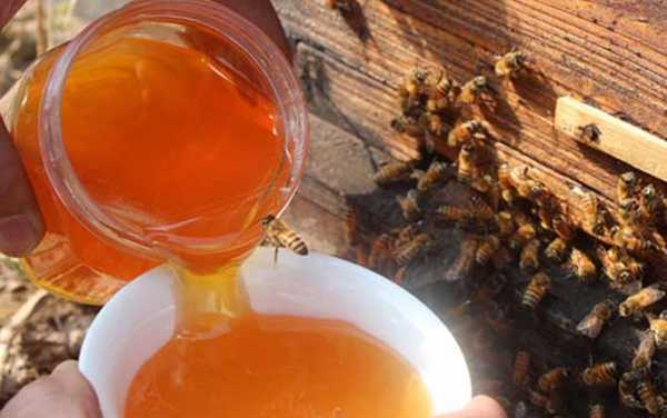野山峰蜂蜜有什么功效 野山蜂蜜有什么好处和作用