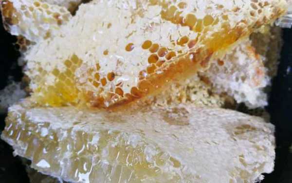 假蜂糖是怎么做的-假蜂糖怎么做的