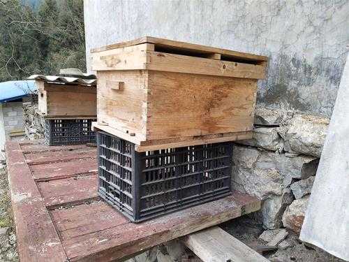 养蜂的蜂箱多少钱一个