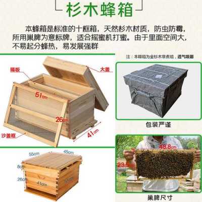 蜜蜂箱批发多少钱一箱 蜜蜂多少钱一箱那有卖